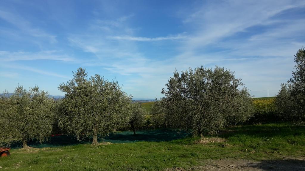 Agriturismo Podere Casa Al Vento Монтепульчано Экстерьер фото