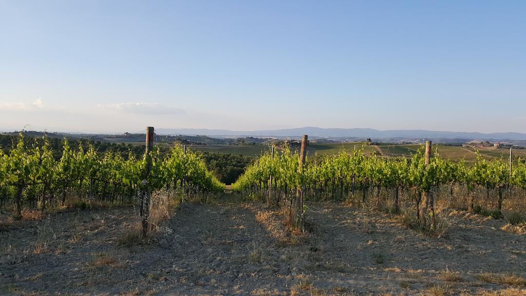 Agriturismo Podere Casa Al Vento Монтепульчано Экстерьер фото